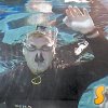 Швейцарски водолаз направи световен рекорд. Петер Колат успя да задържи дъха си под вода за 19 минути и 21 секунди и разби с 19 секунди предишния рекорд на италианеца Никола Питигнано.