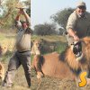 50-годишен британец се грижи за лъвовете в Йоханесбург, храни ги, дресира ги и гъделичка за тяхно удоволствие.^^