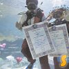Така се женят в Тайланд на 14 февруари