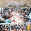 Естествена смърт застигна слон в напреднала възраст в националния парк на Зимбабве Gonarezhou. Вестта се разпространила между селяните, оборудвани с мачете, брадви и ножове от консервени кутии, и след 1 час и 47 минути от слона останал само скелетът.