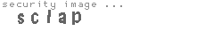 security image