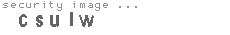security image