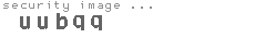 security image