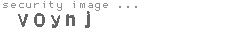 security image
