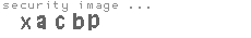 security image