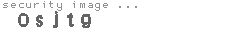 security image
