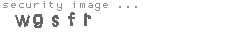 security image
