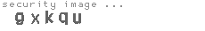 security image