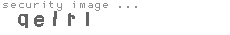 security image