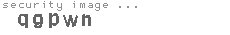 security image