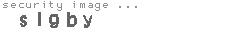 security image