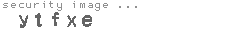 security image