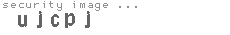 security image