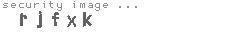 security image