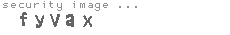 security image