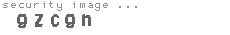 security image