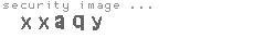 security image