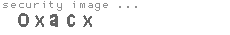 security image