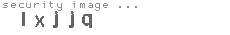 security image
