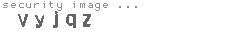 security image