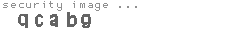 security image