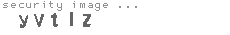 security image