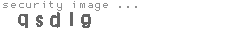 security image