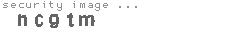 security image
