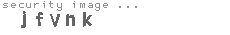security image