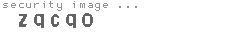 security image