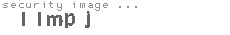 security image