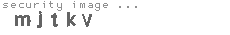 security image