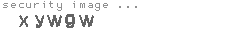 security image