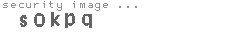 security image