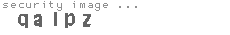 security image