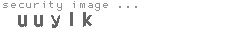 security image