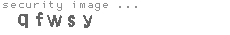 security image