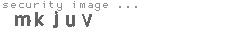 security image