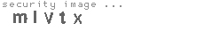 security image