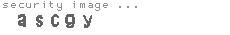 security image
