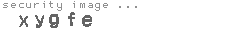 security image