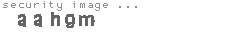 security image