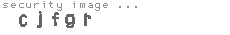 security image