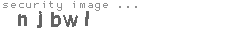 security image