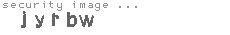 security image