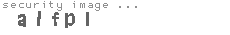 security image