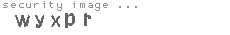 security image
