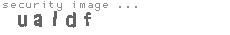 security image