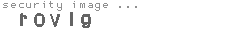 security image