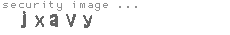 security image